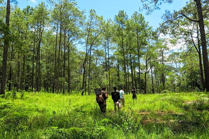 Kirirom National Park Private Day Tour from Phnom Penh - From Phnom Penh to the pine forests of Kirirom