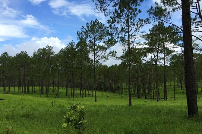 Kirirom National Park Private Day Tour from Phnom Penh - Kirirom National Park and its 675-meter views