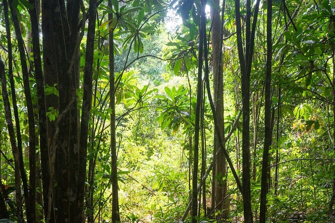 Kirirom National Park Private Day Tour from Phnom Penh - What the private format really adds