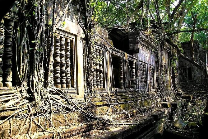 Koh Ker & Beng Mealea Temple Full-Day Private Tour from Siem Reap - Beng Mealea: stone, roots, and filtered light