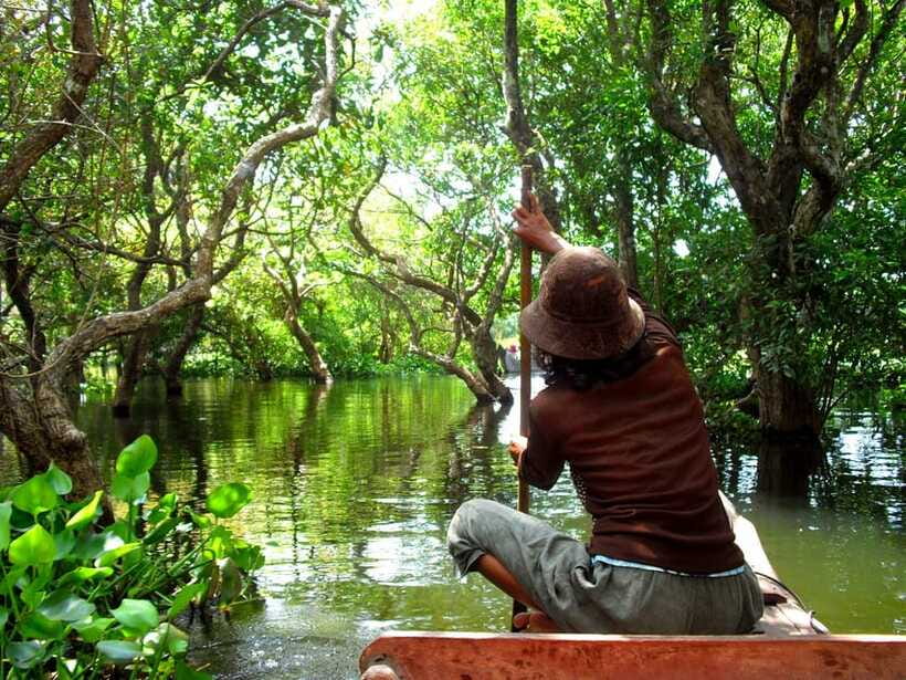 Kompong Phluk and Tonlé Sap Lake: Half-Day Tour - What the guides add to the four-hour format