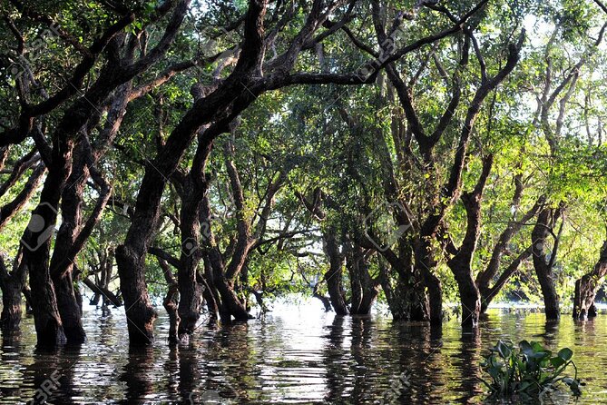 Kompong Phluk Village Tonle Sap Lake Half-Day Tour From Siem Reap - What this Tonle Sap outing is really about