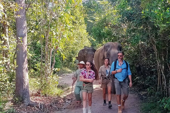 Kulen Elephant Forest and Tonle Sap Lake by Private Tour - Key points at a glance