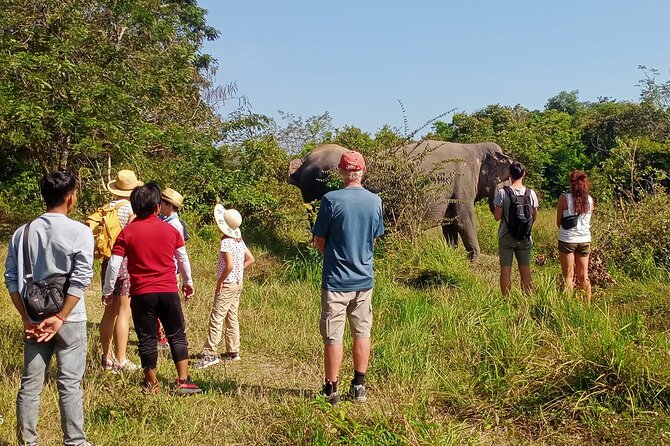 Kulen Elephant Forest and Tonle Sap Lake by Private Tour - The drive toward Phnom Kulen