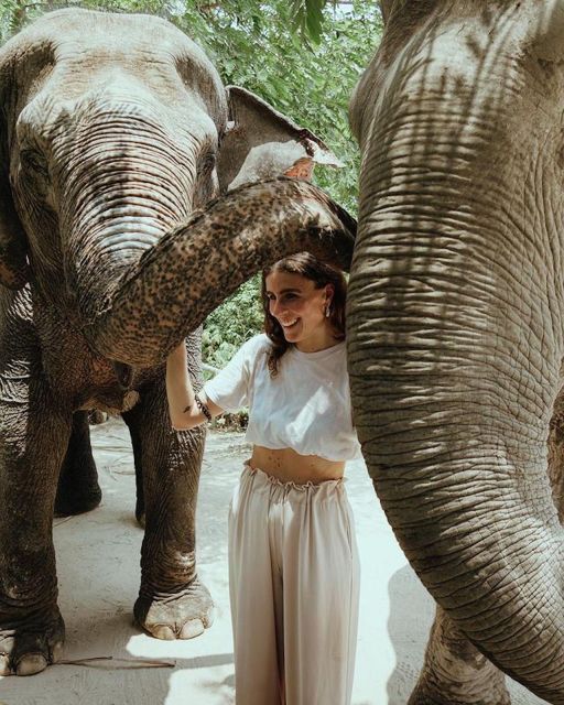 Kulen Elephant Forest Siem Reap in Small Group - The animal welfare question