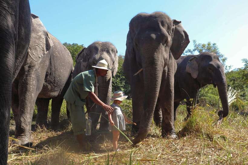 Kulen Elephant Forest Siem Reap in Small Group - Who will enjoy this five-hour experience