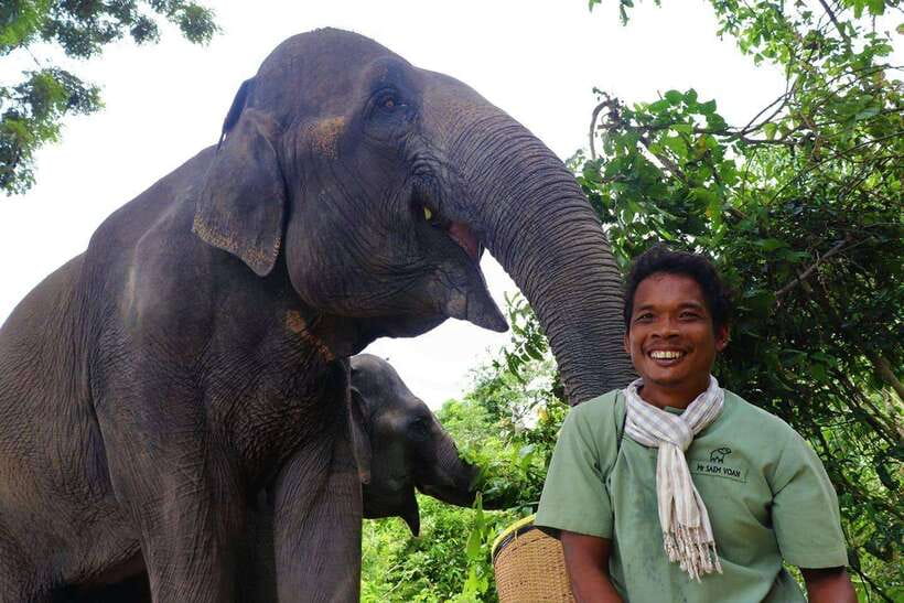 Kulen Elephant Forest Siem Reap in Small Group - Making elephant snacks by hand