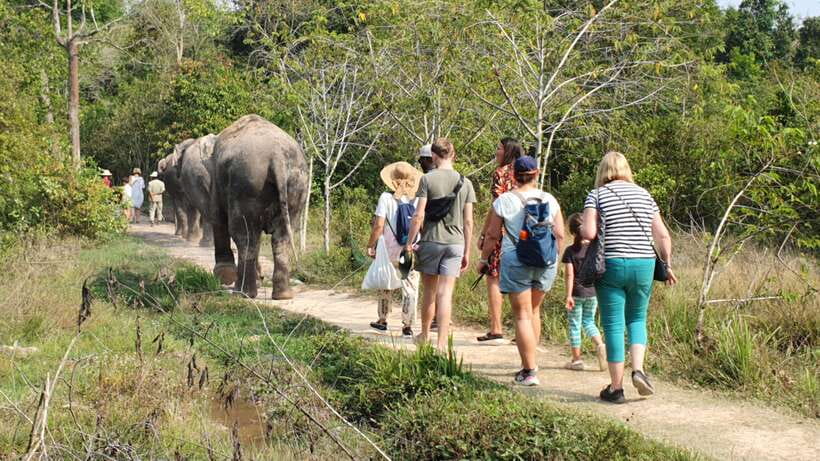 Kulen Elephant Forest & Tonlesap Lake - Booking details that affect your decision