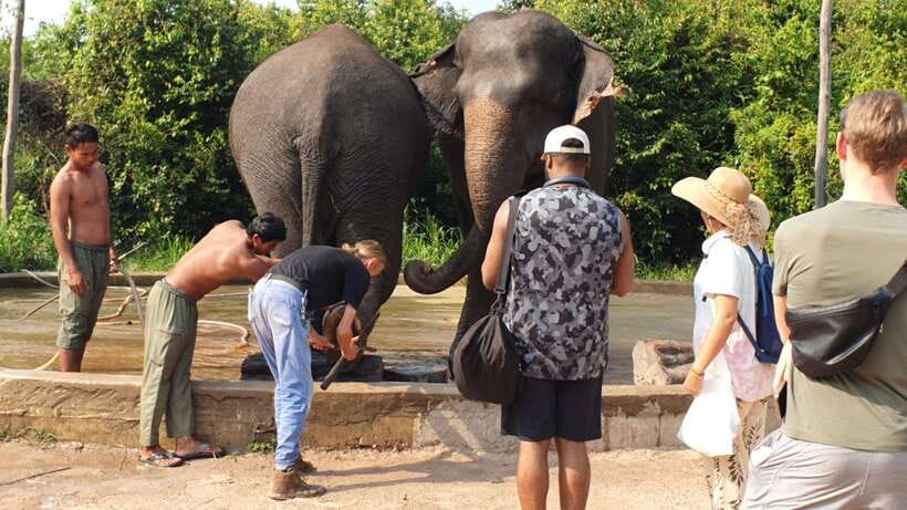 Kulen Elephant Forest & Tonlesap Lake - Meeting the people who care for the elephants