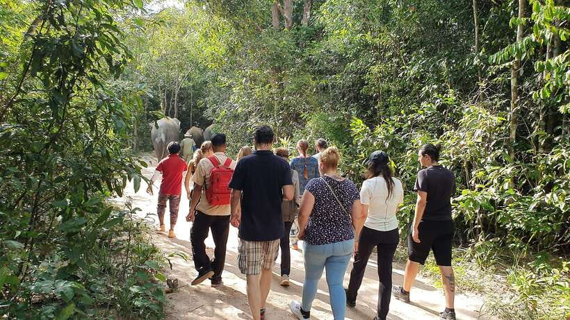 Kulen Elephant Forest & Tonlesap Lake - The floating market and flooded forest canoe ride