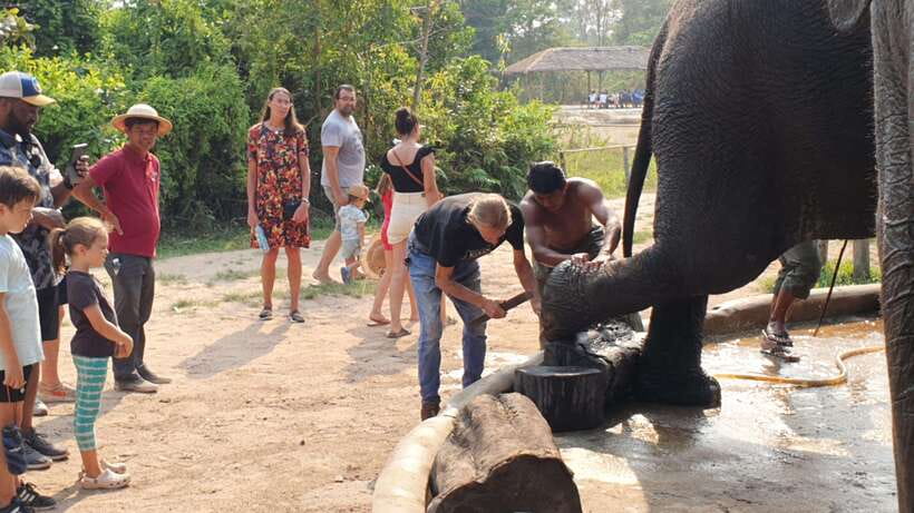 Kulen Elephant Forest & Tonlesap Lake - Is $126 per person good value?