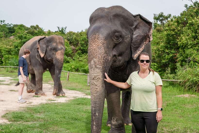 Kulen Elephant Forest Tour with Hotel Pick-up & Drop off - The morning begins with a 7:30 pickup