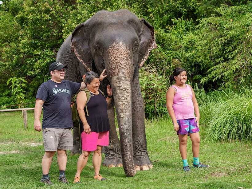 Kulen Elephant Forest Tour with Hotel Pick-up & Drop off - Water, mud, and gentle elephant care