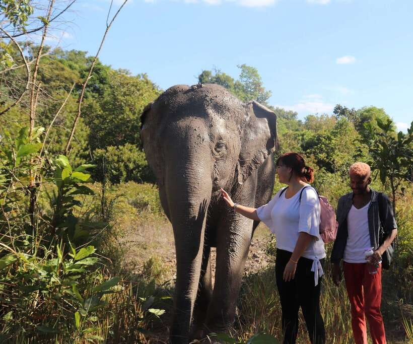 Kulen Mountain Day Trip with Picnic & Kulen Elephant Forest - A morning through Preah Dak village