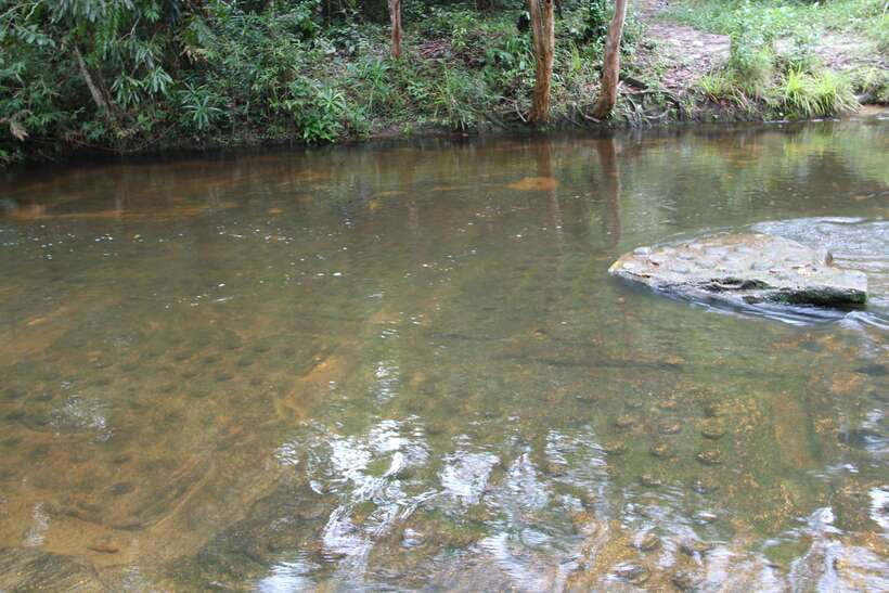 Kulen Mountain: Full-Day Private Waterfall Tour - Two waterfalls and time for a swim