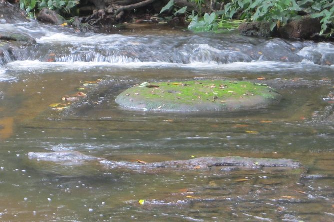 Kulen Mountain, Killing Fields and War Museum Tour - The waterfall stop and what to bring
