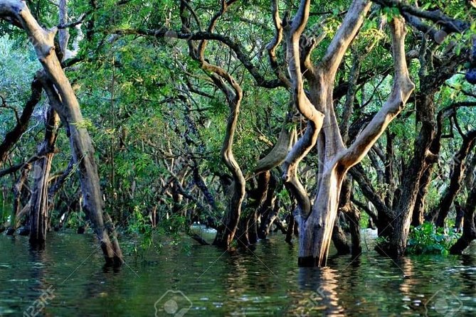 Mechrey Floating Village Tour & Mangrove from Siem Reap - How the private format changes the visit