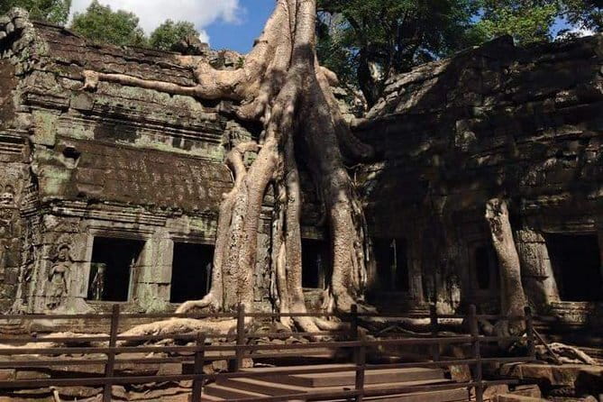Night Street Tour in Siem Reap - Is $50 a fair price?