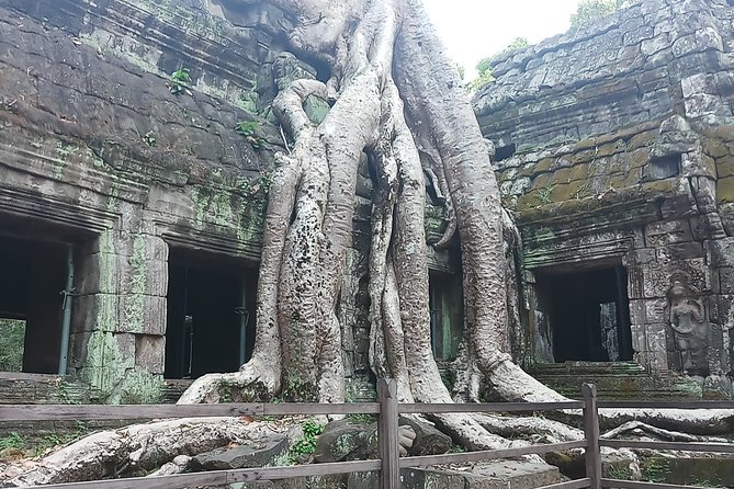 One day Angkor temple tour with private driver - Timing, clothing, and small decisions that matter