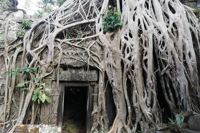 One Day Angkor World Heritage Tour - How the guide affects the experience