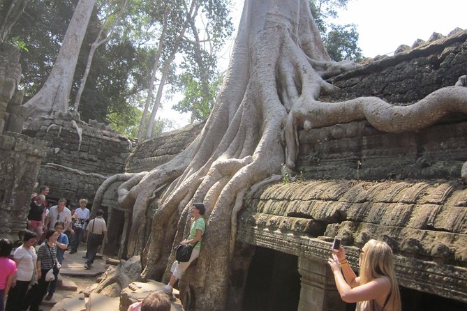 One Day Angkor World Heritage Tour - Who will get the most from this itinerary