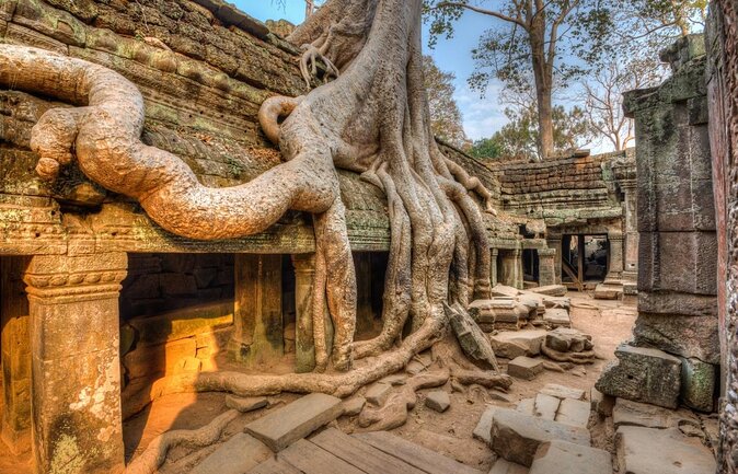 One day normal Angkor tour - Key points to know before booking