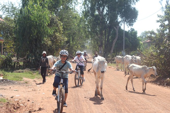 Oudong Mountain And Floating Village Cycle Tour - The final climb to Oudong Hill