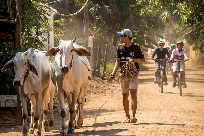 Oudong Temples & Phnom Prasith Private Tour from Phnom Penh - What the $139 price includes