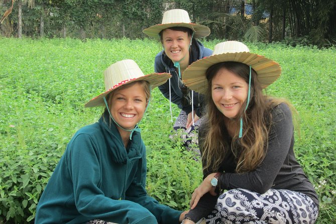 Ox-cart Culture Tour, Countryside Experince in Siem Reap - Who will enjoy this village outing most