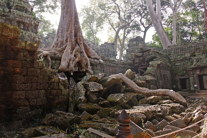 Personalised Angkor Wat Day Tour by an Air-conditioned Car - Who will get the most from this outing