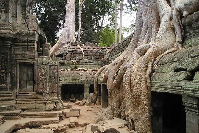 Personalised Angkor Wat Sunrise Tour by an air-conditioned car - Angkor Thom and the South Gate