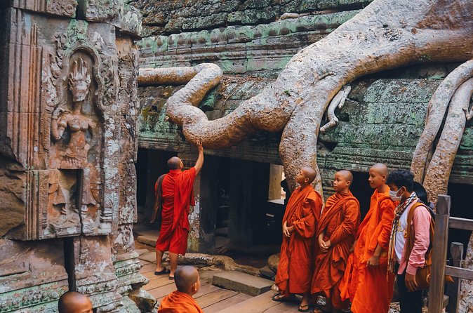 Personalised Angkor Wat Sunrise Tour by TukTuk - Ta Prohm, roots, carvings, and the Tomb Raider connection