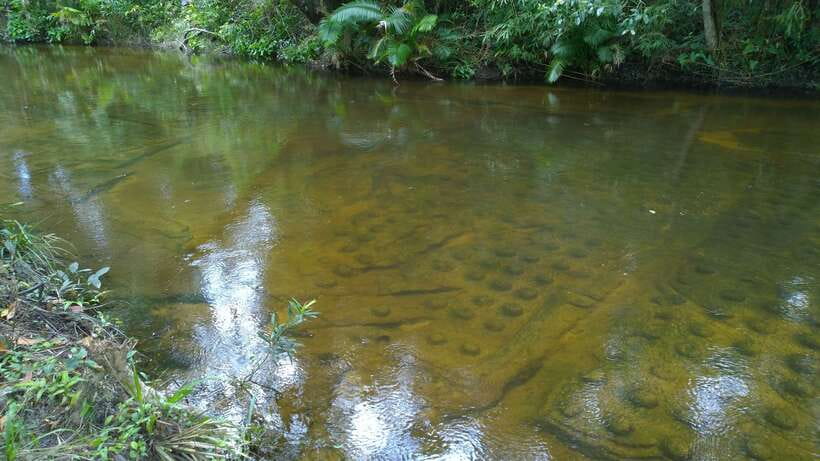 Phnom Kulen National Park Admission Ticket - The 1,000 Lingas River is a carved riverbed