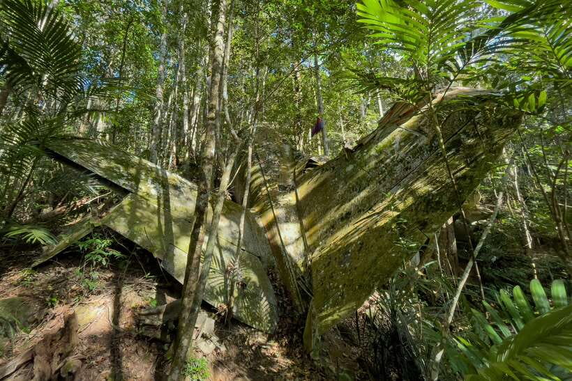 Phnom Penh: 2-Day Aural Mountains Hiking Adventure - A secluded forest camp after sunset