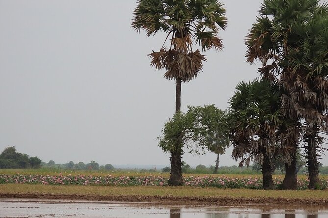 Phnom Penh Countryside Cycle Tour - What the $45 price really includes