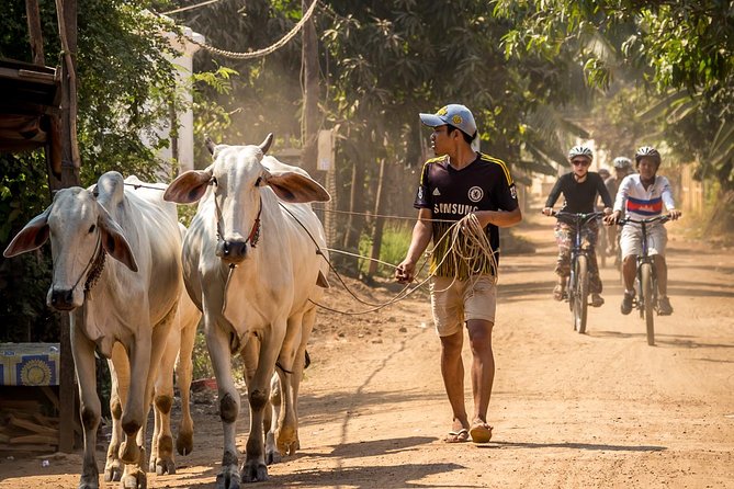 Phnom Penh: Cycling Adventure on Islands of the Mekong - Why the Mekong Islands make a good half-day escape