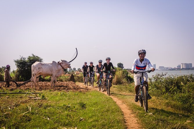 Phnom Penh: Cycling Adventure on Islands of the Mekong - Pagodas, farms, and the everyday view