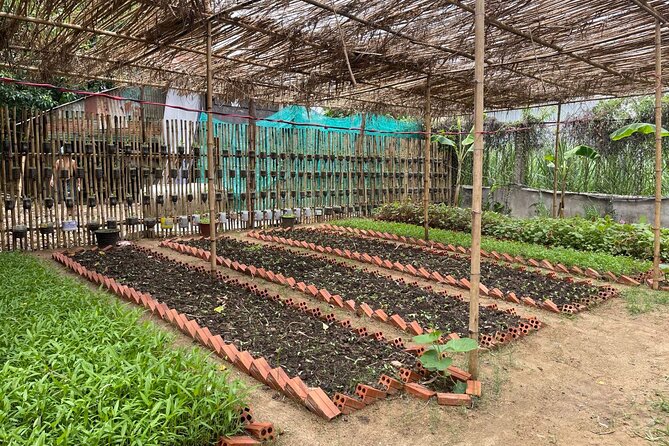 Phnom Penh’s Hands-On Khmer Cooking Class in the Countryside - Timing, Comfort, and Practical Details