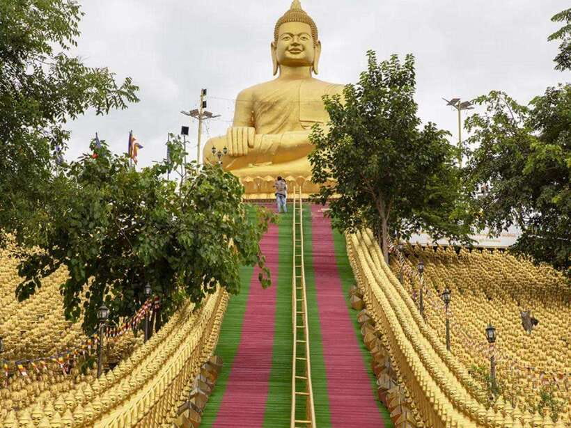 Phnom Tamao Wildlife Center & Buddha Kiri Cambodia Day Tour - Why this Phnom Penh day trip works