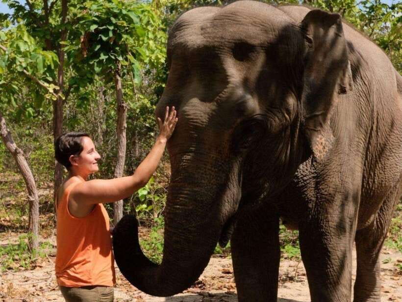 Phnom Tamao Wildlife Center & Buddha Kiri Cambodia Day Tour - Ta Prohm at Tonle Bati and the first temple stop