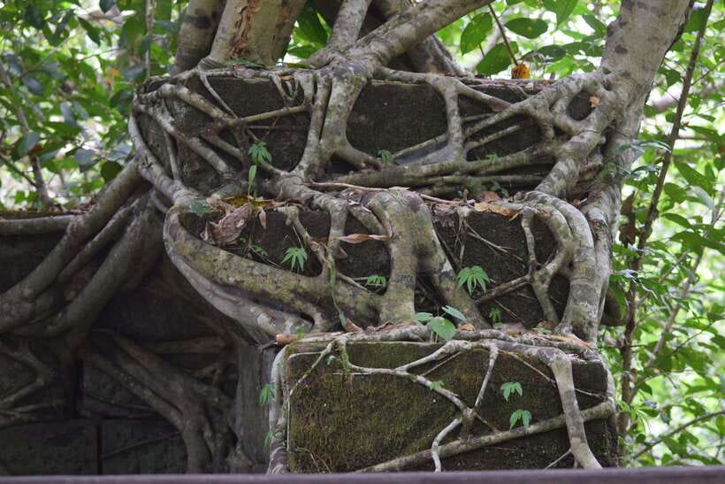 Prasat Thom, Koh Ker Group & Beng Mealea Full-Day Tour - Who will enjoy this day most