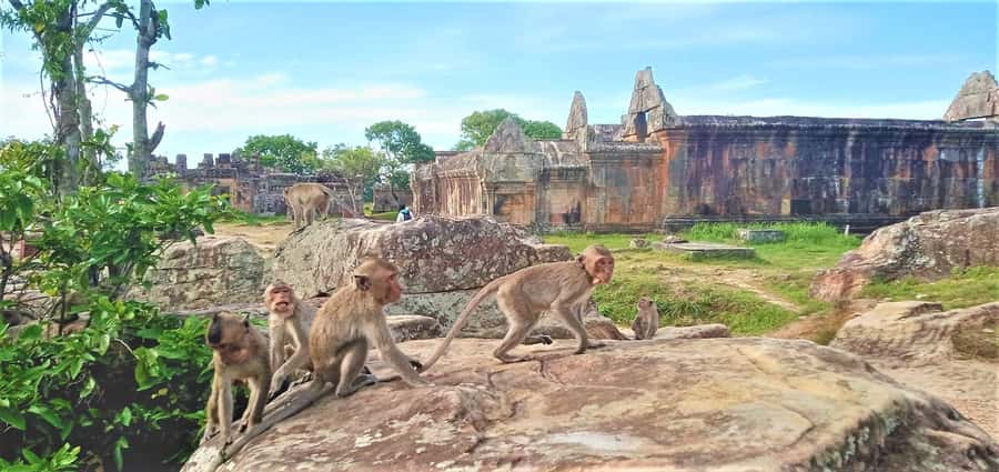 Preah Vihear Temple Koh Ker & BengMealea Tour from Siem Reap - Prasat Pram adds a compact forest stop