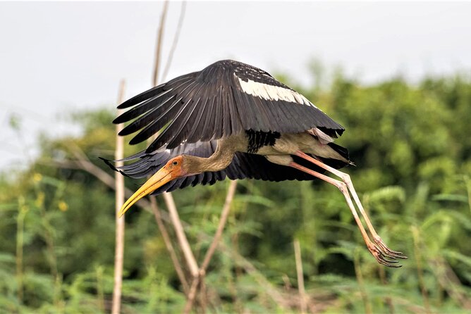 Prek Toal Birds Sanctuary and floating Village Private Day Tour - The Tonle Sap Biosphere Reserve