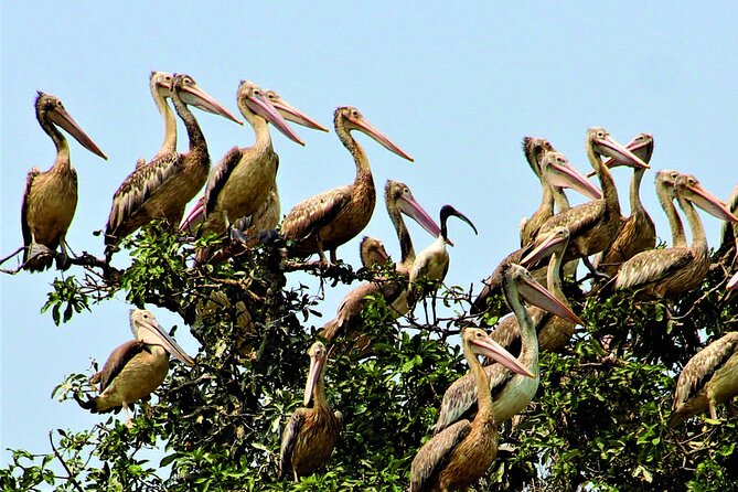 Prek Toal Birds Sanctuary and floating Village Private Day Tour - Crossing the Open Water of Tonle Sap