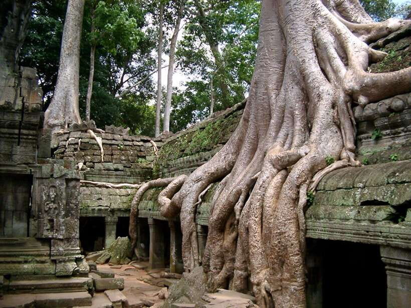 Private Angkor Sunrise, Guide Breakfast and Tuktuk included - The Elephant Terrace and the royal audience area