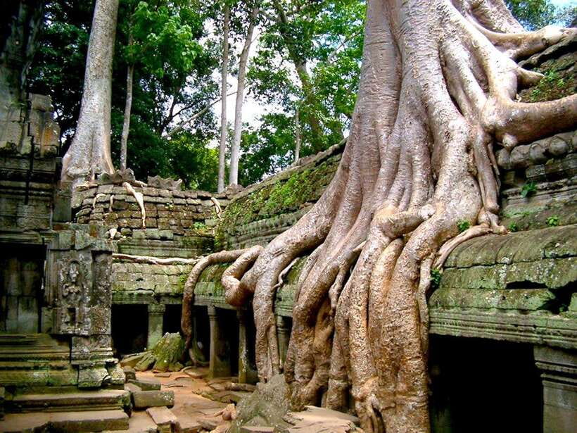 Private Angkor Sunrise, Guide Breakfast and Tuktuk included - Who should book this seven-hour Angkor tour
