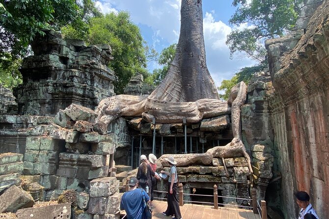 Private Angkor Wat and Lost Temple Jungle Tour - Ta Prohm: the jungle temple that earns its fame