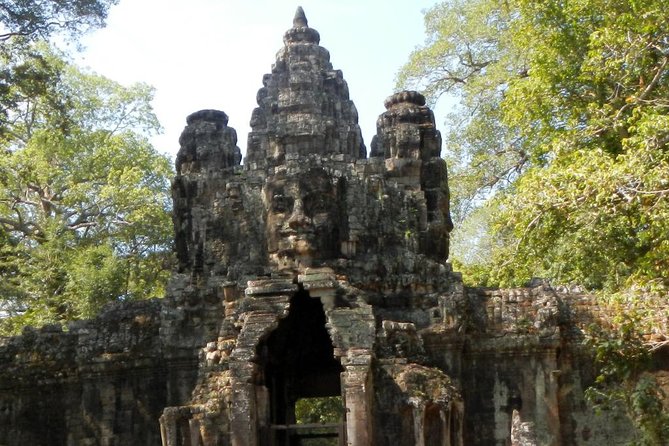 Private Angkor Wat Day Tour - Best of Angkor - Ta Prohm and the power of the jungle setting