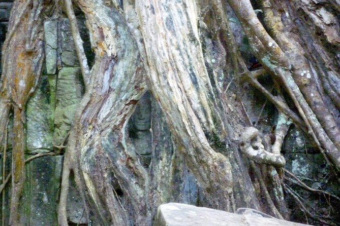 Private Angkor Wat Day Tour - Best of Angkor - Timing, fitness, and practical planning