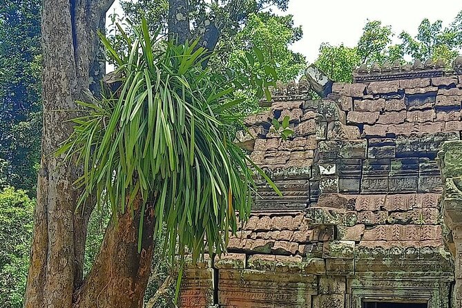 Private Angkor Wat Guided Sunset Tour - Clothing, walking, and daily comfort